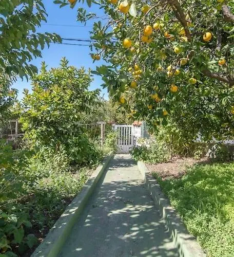 La Casita De Coco *