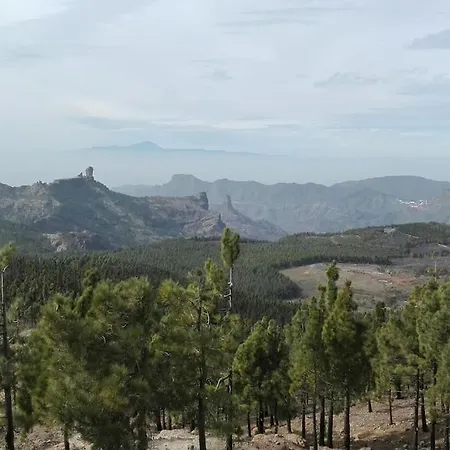 La Casita De Coco 펜션 테헤다