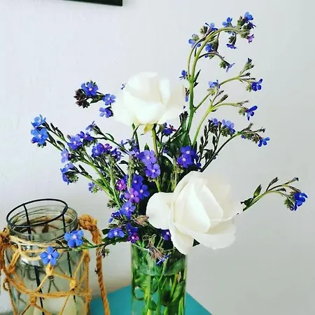 La Casita De Coco 테헤다