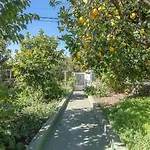 La Casita De Coco *