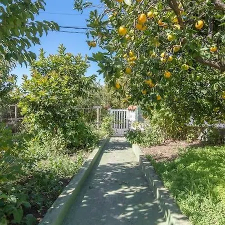 La Casita De Coco *