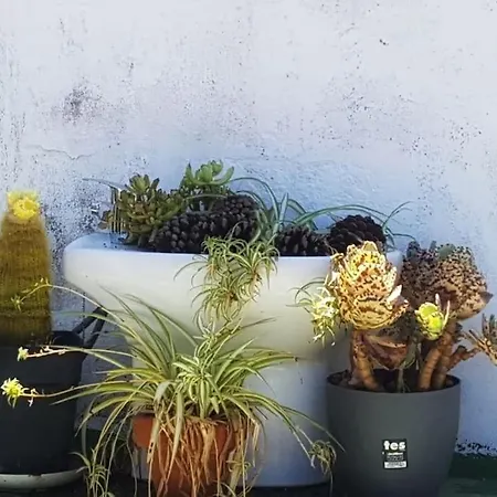 La Casita De Coco Dom wakacyjny Tejeda (Gran Canaria)