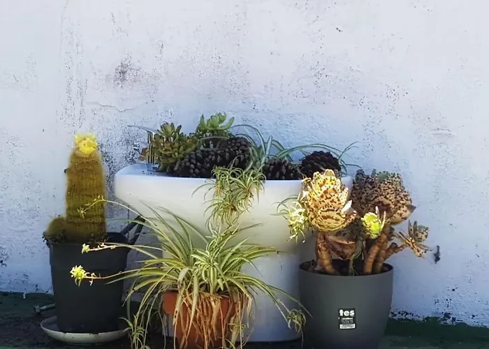 La Casita De Coco Casa de Férias Tejeda (Gran Canaria)